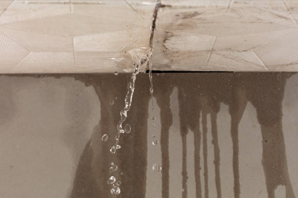 Professional Water Damage Restoration technician working in Callender, IA